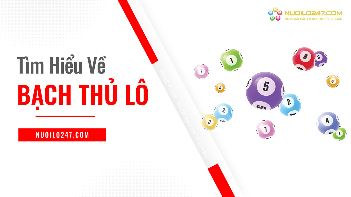 bạch thủ lô miền bắc hôm nay