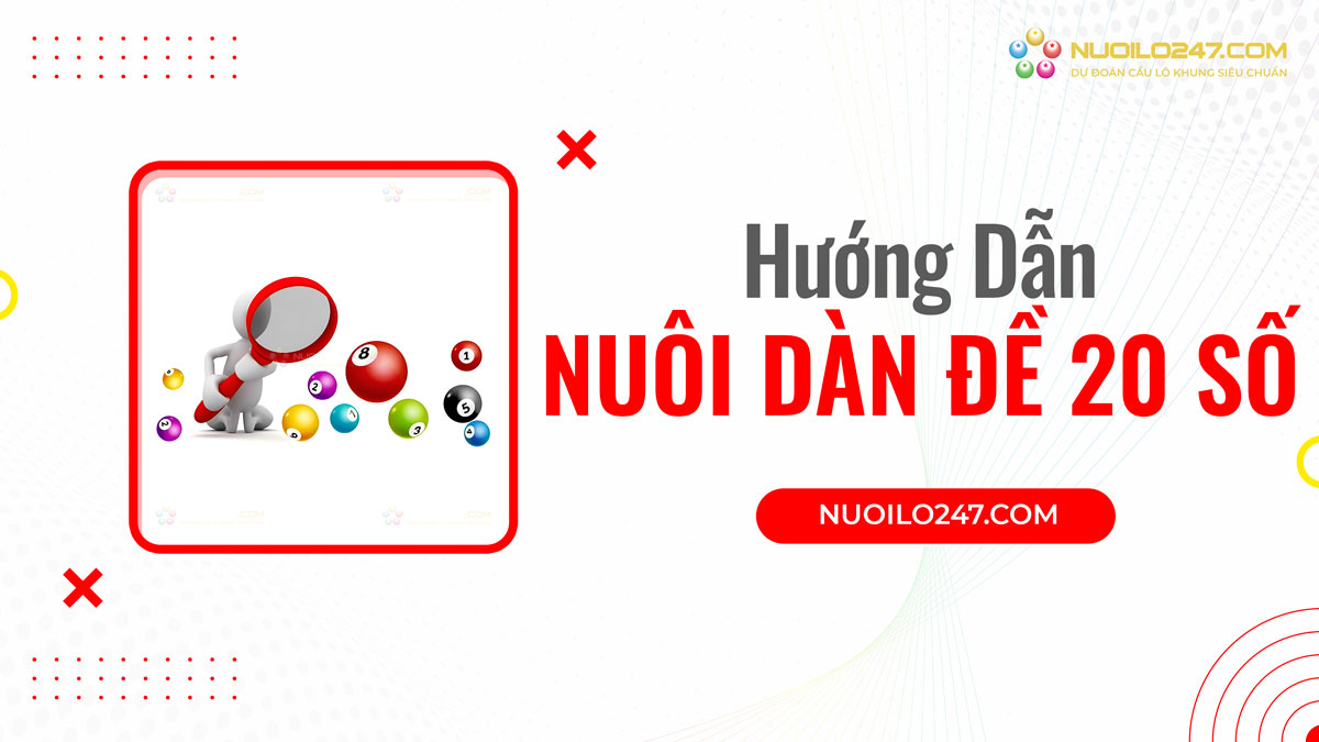 Các bước nuôi dàn đề 20 số khung 5 ngày