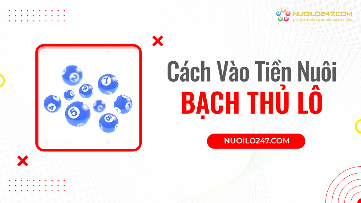 Cách vào tiền nuôi bạch thủ lô khung 3 ngày