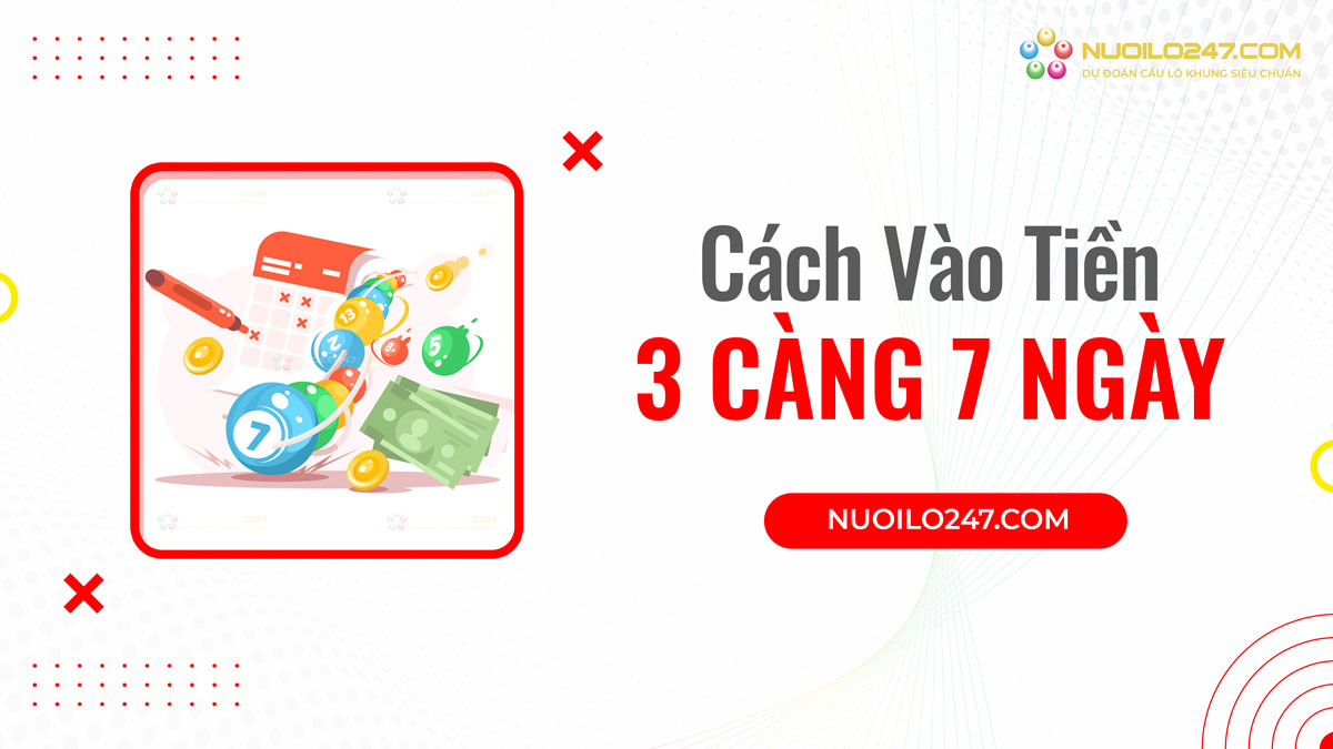 Hướng dẫn vào tiền nuôi 3 càng khung 7 ngày