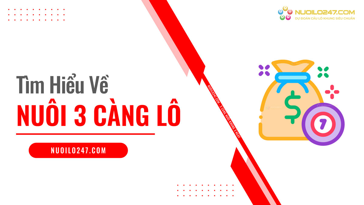 lô 3 càng miền bắc