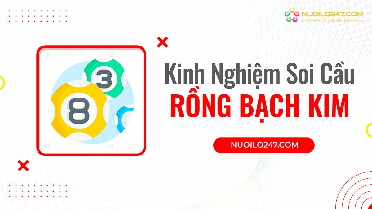 Kinh nghiệm soi cầu rongbachkim