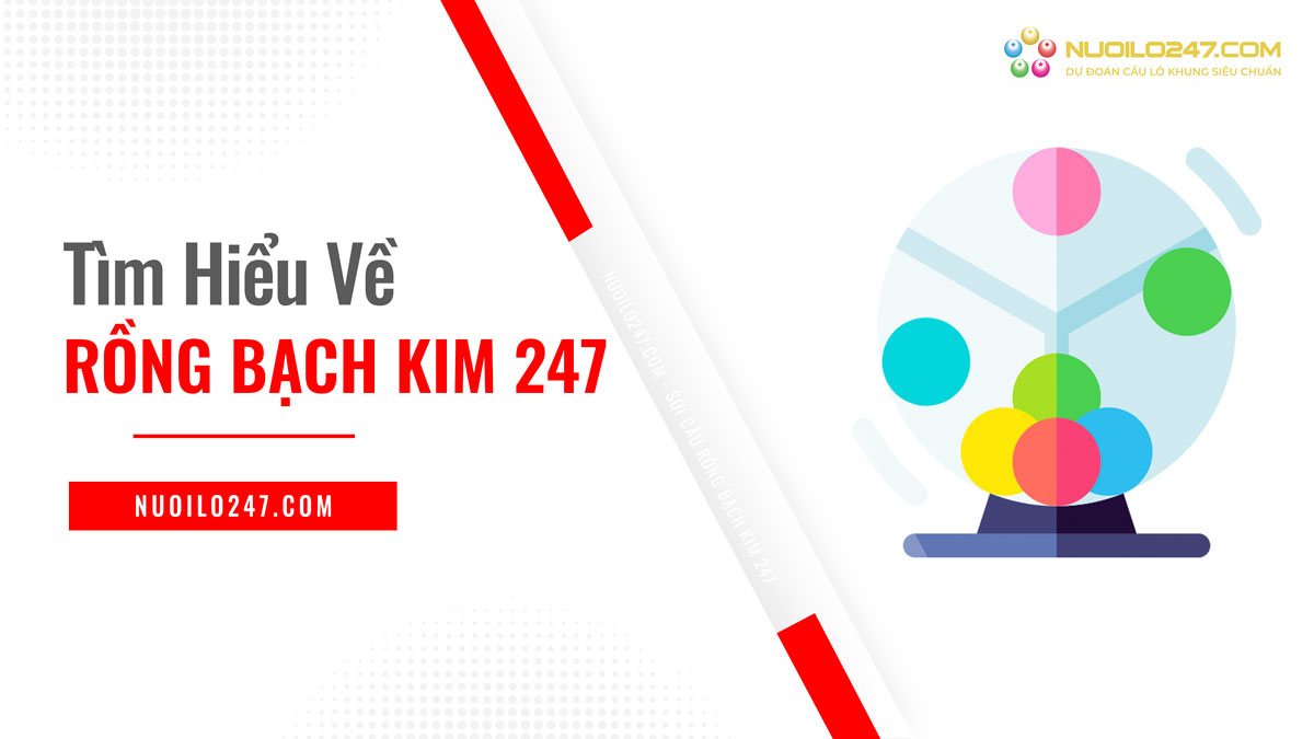 Rồng bạch kim 247 là gì?