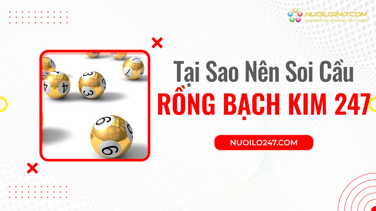 Tại sao nên soi cầu tại rồng bạch kim 247