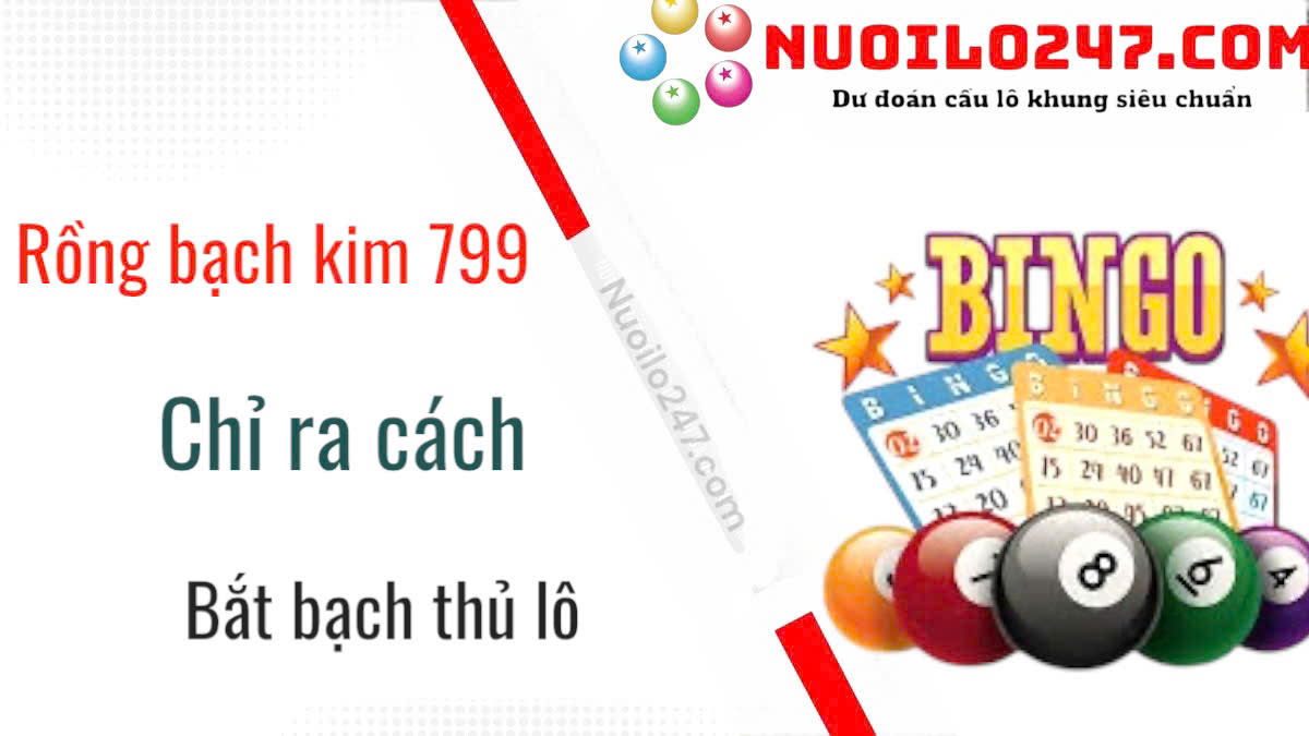 Rồng Bạch Kim 799 chỉ ra cách bắt bạch thủ lô chuẩn xác