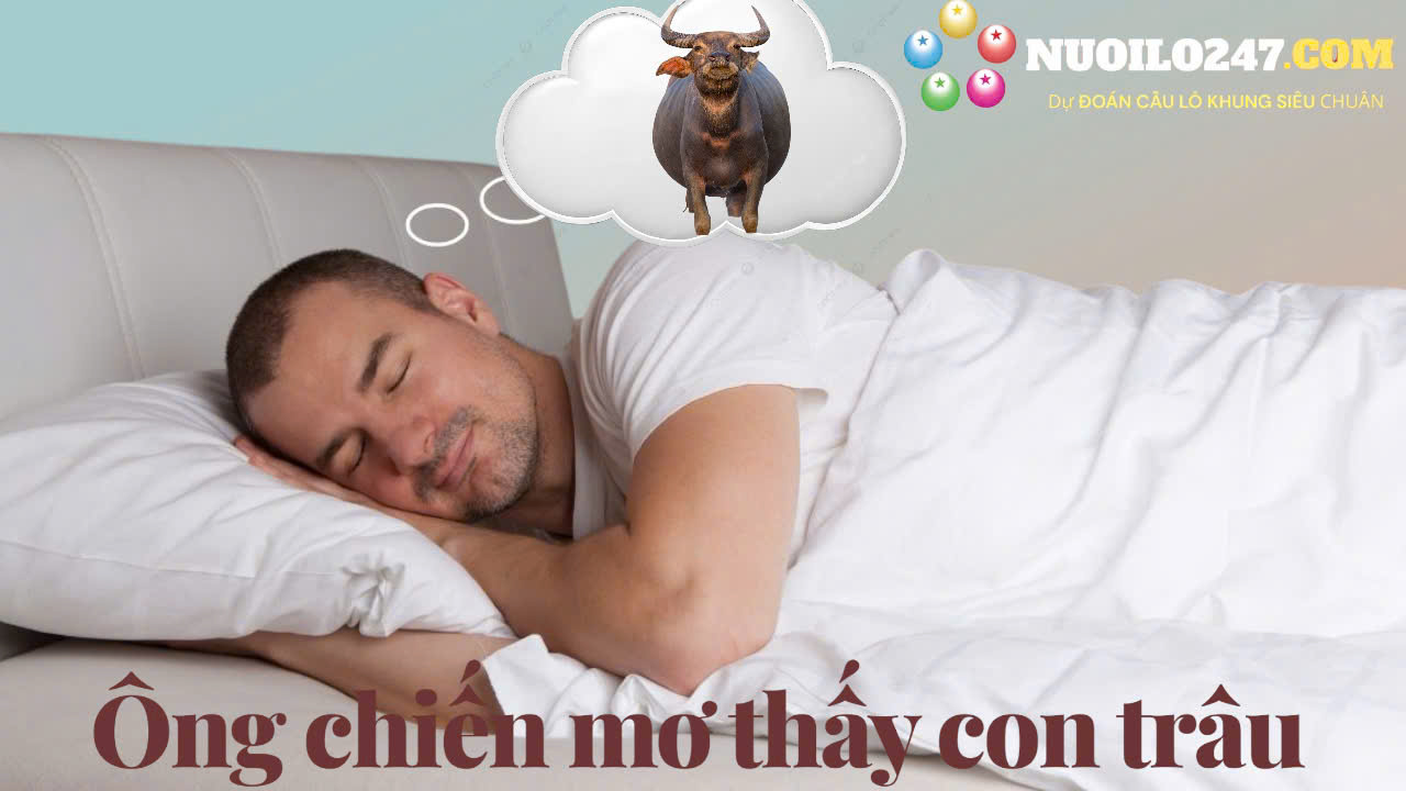 Hình ảnh Ông Chiến Mơ Thấy Con Trâu Nên đánh số mấy?