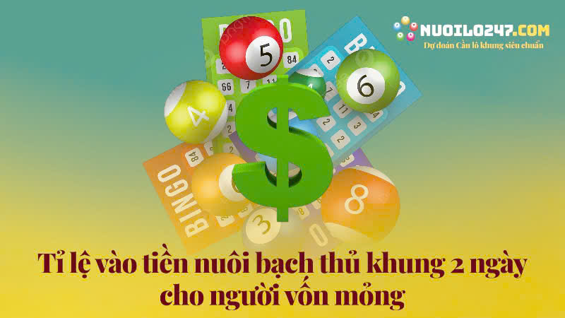 Tỉ Lệ Vào Tiền Nuôi Bạch Thủ – Chiến Thuật Quản Lý Vốn Thực Chiến